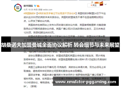 胡桑诺夫加盟曼城全面协议解析 转会细节与未来展望