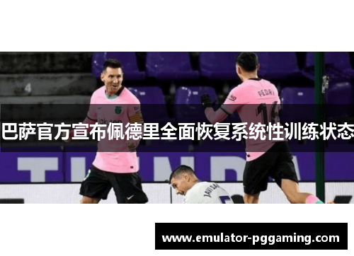 巴萨官方宣布佩德里全面恢复系统性训练状态 巴萨官方宣布佩德里全面恢复系统性训练状态