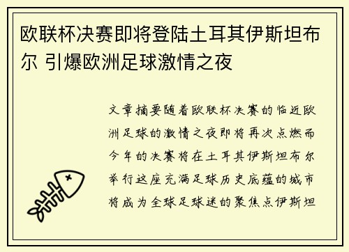 欧联杯决赛即将登陆土耳其伊斯坦布尔 引爆欧洲足球激情之夜 欧联杯决赛即将登陆土耳其伊斯坦布尔 引爆欧洲足球激情之夜